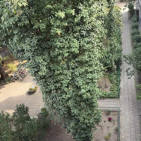 Stylish Center Flat On Historic Kozla Street Apartman